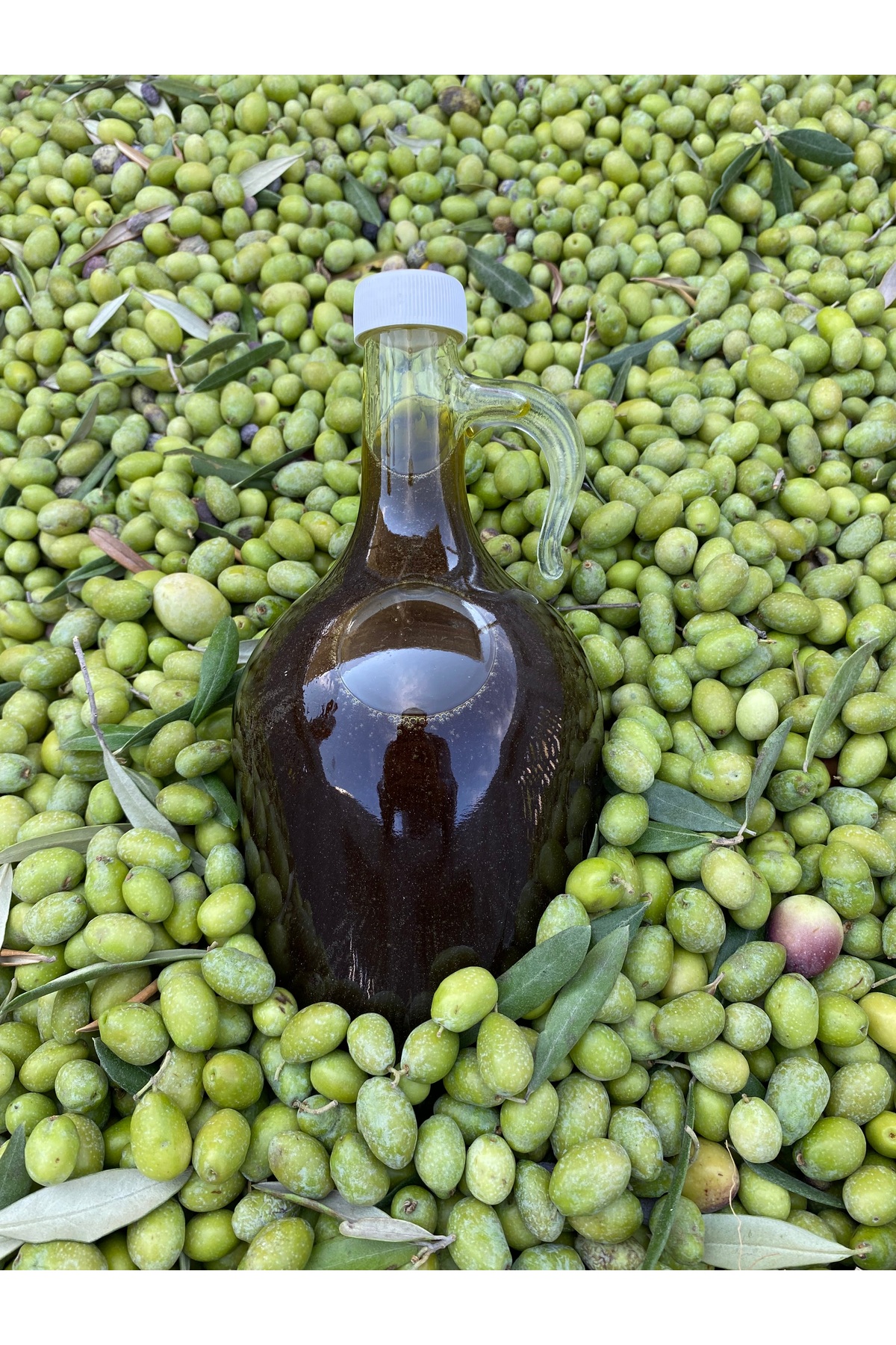 1,5 Litre İlk Hasat Zeytinyağı