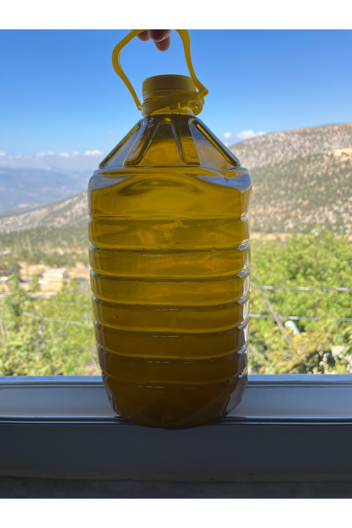 10 Litre Naturel Sızma Zeytinyağı