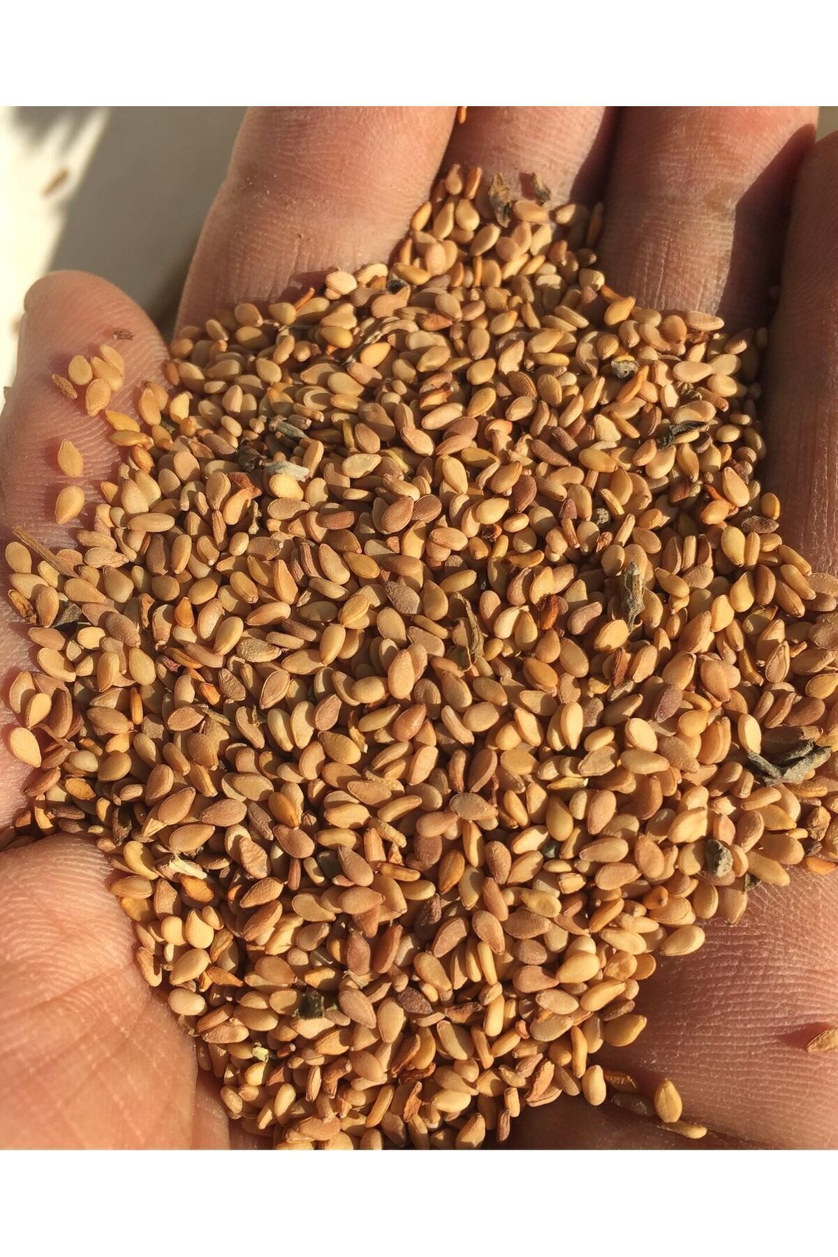 Yerli Susam Net : 500 gram