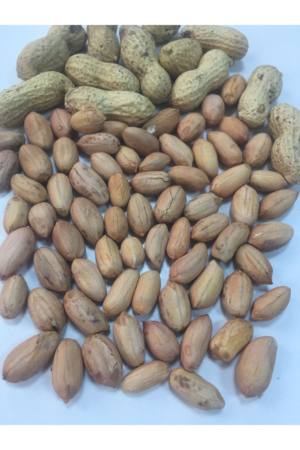 Yer Fıstığı İçi İri Boy Net: 3 kg
