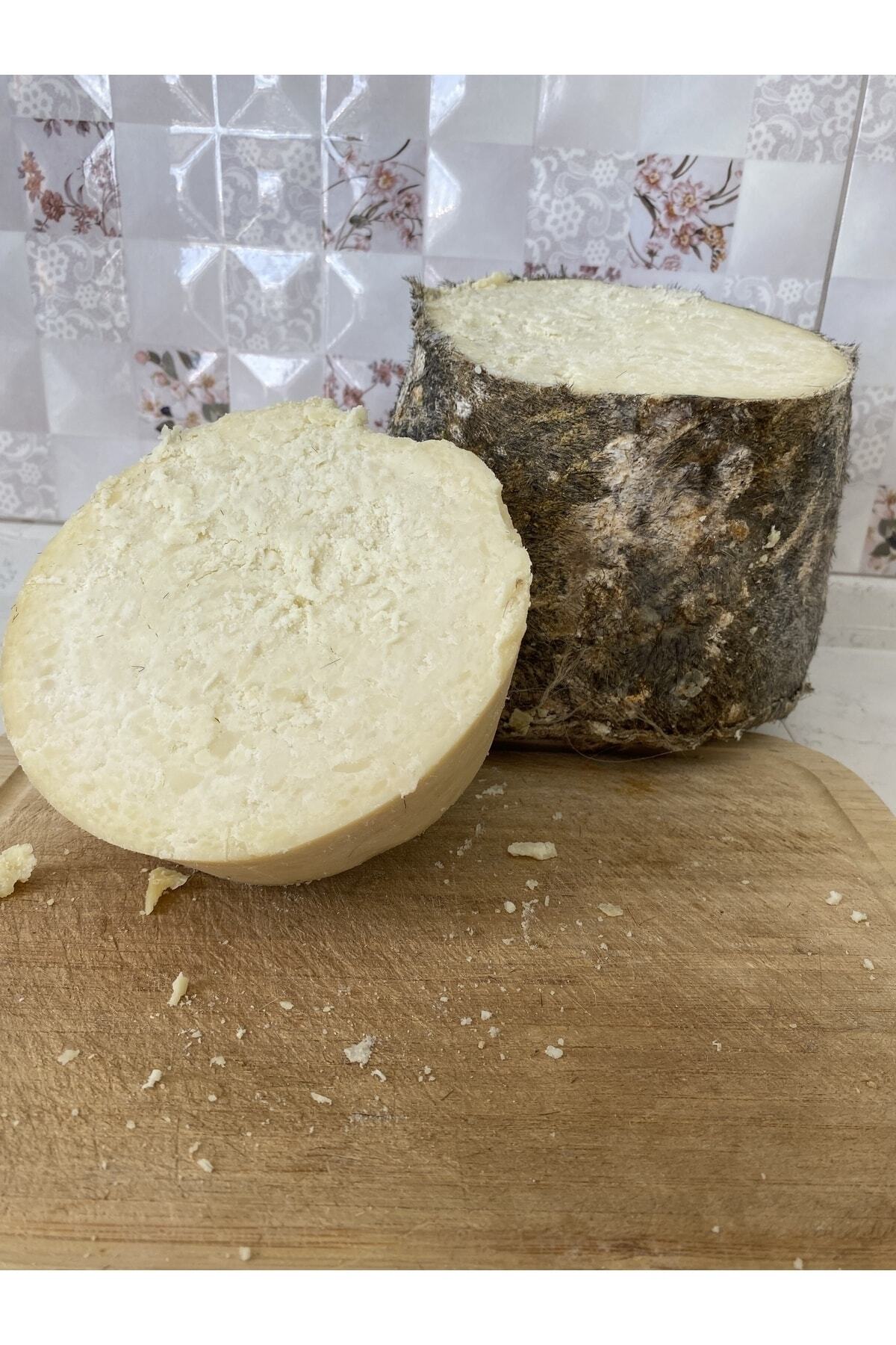 Obruk Peyniri ( Kızıl Ova Mut ) Net : 7 kg