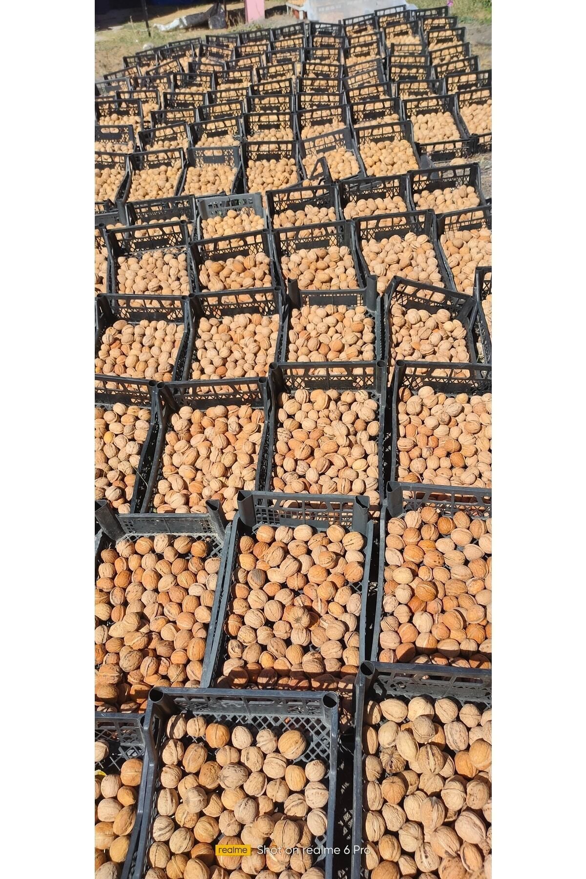 Yayla Cevizi Net 3 Kg