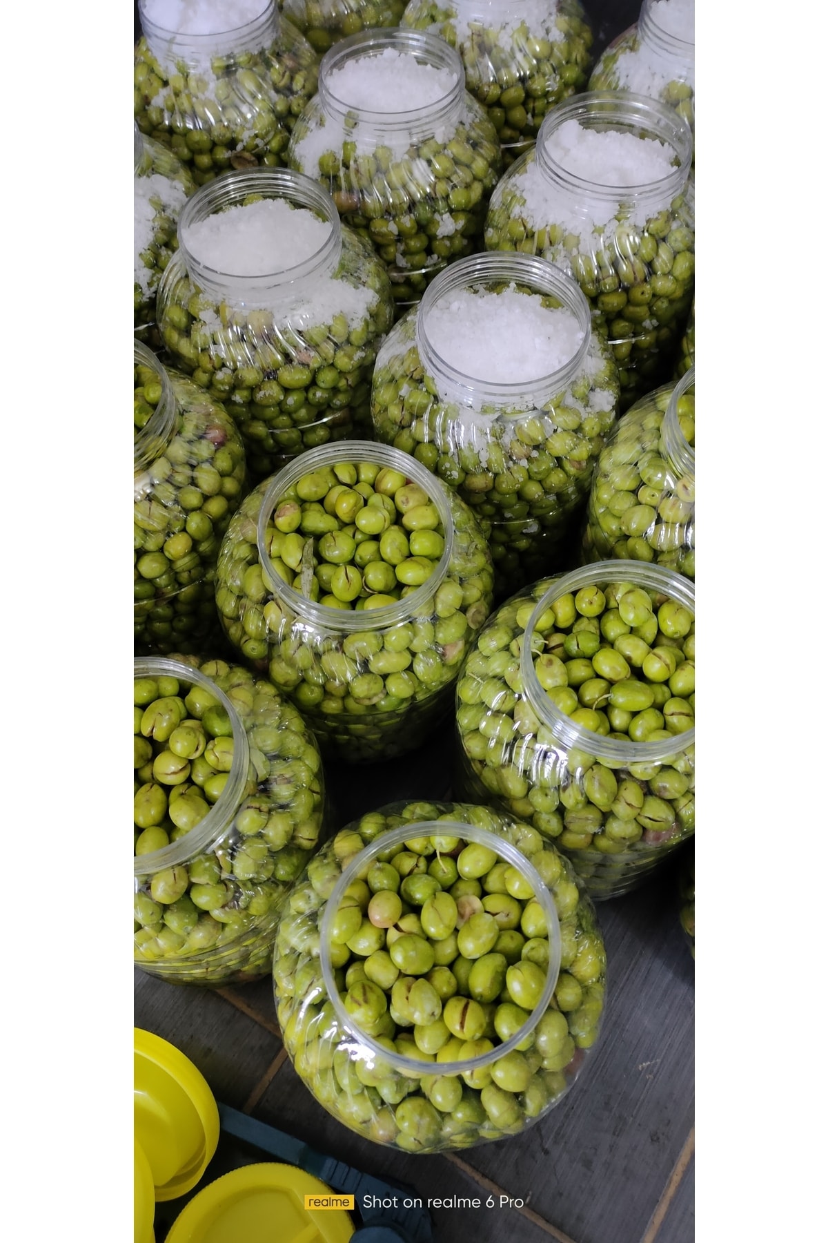 Kırma Yeşil Zeytin Net : 3,5 Kg