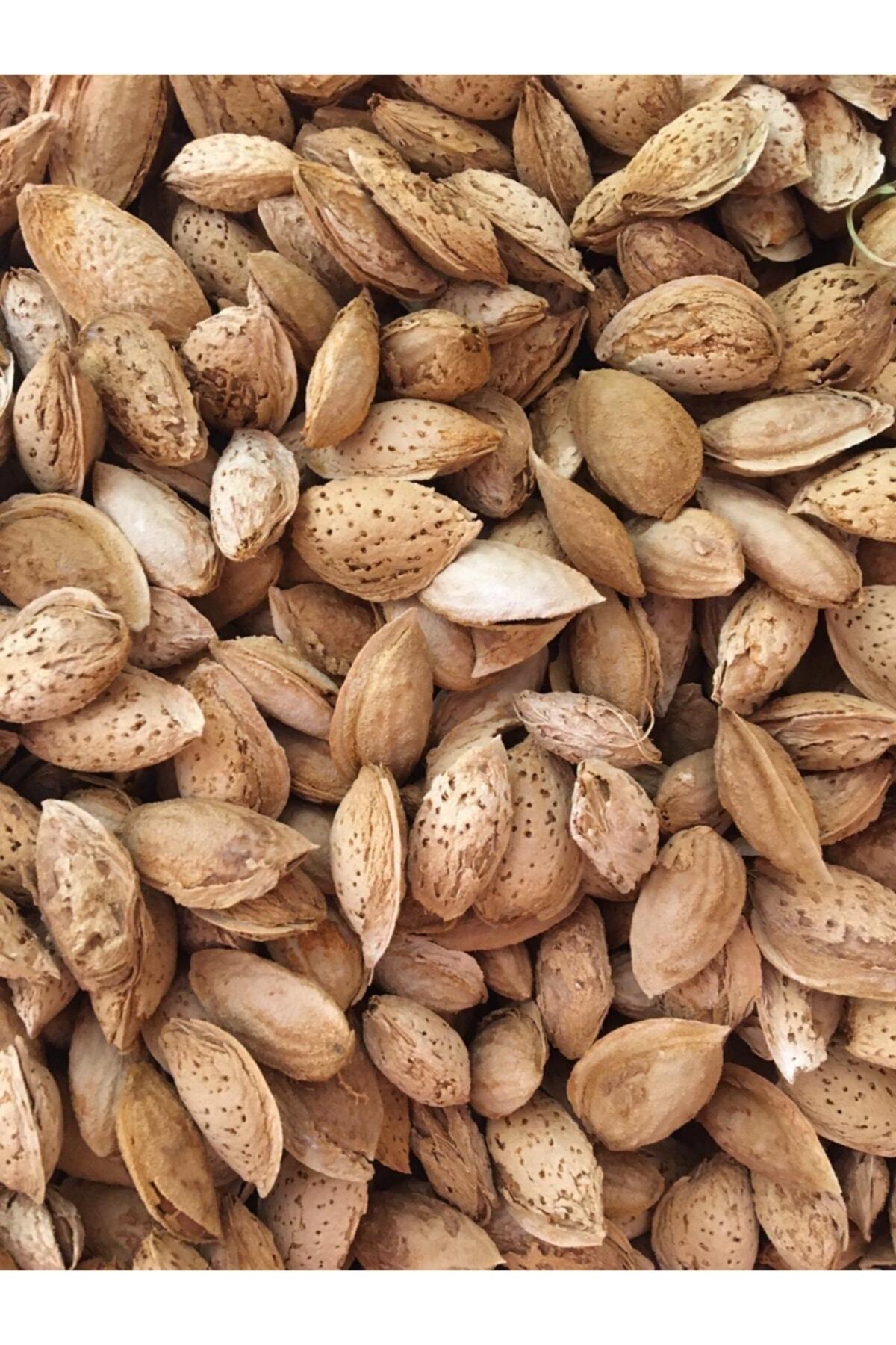 Diş Bademi Net 1 Kg