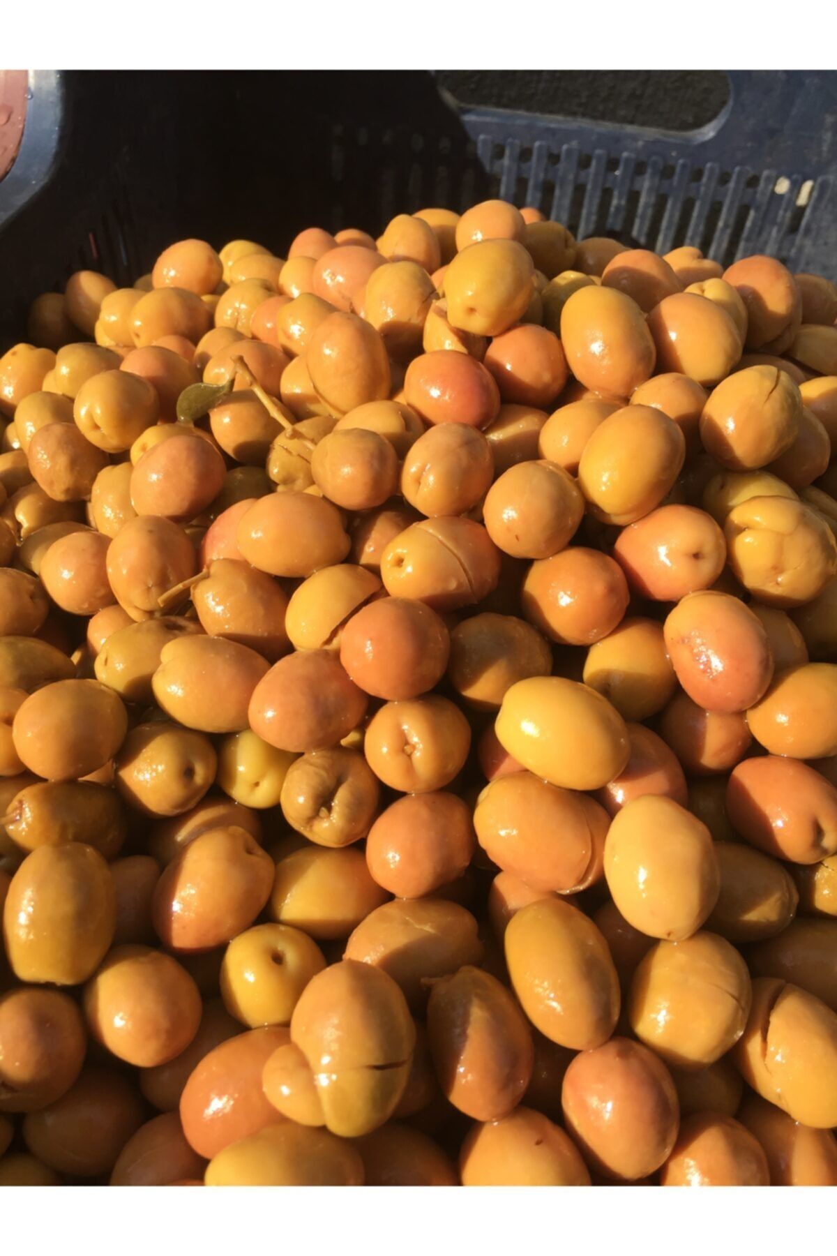 Yeşil Kırma Zeytin 5 Lt Petlerde 30 Adet Toplam Net 105 Kg Zeytin