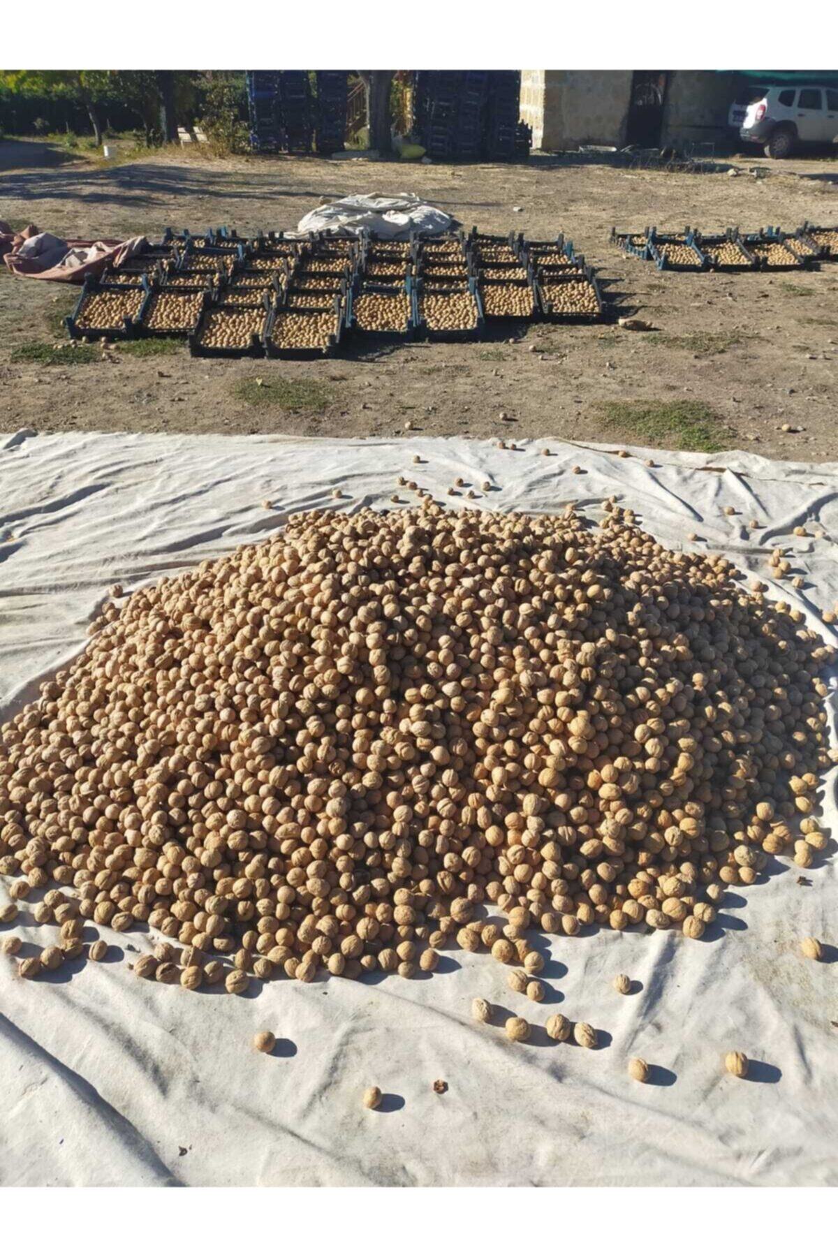 Ince Kabuklu Yerli Yayla Cevizi 30 Kg