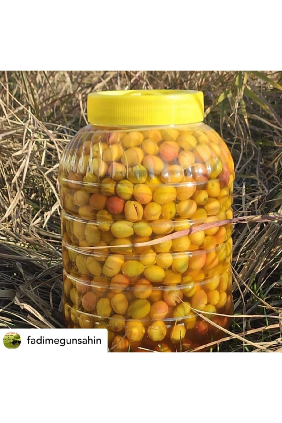 Kırma Yeşil Zeytin Net 3,5 Kg