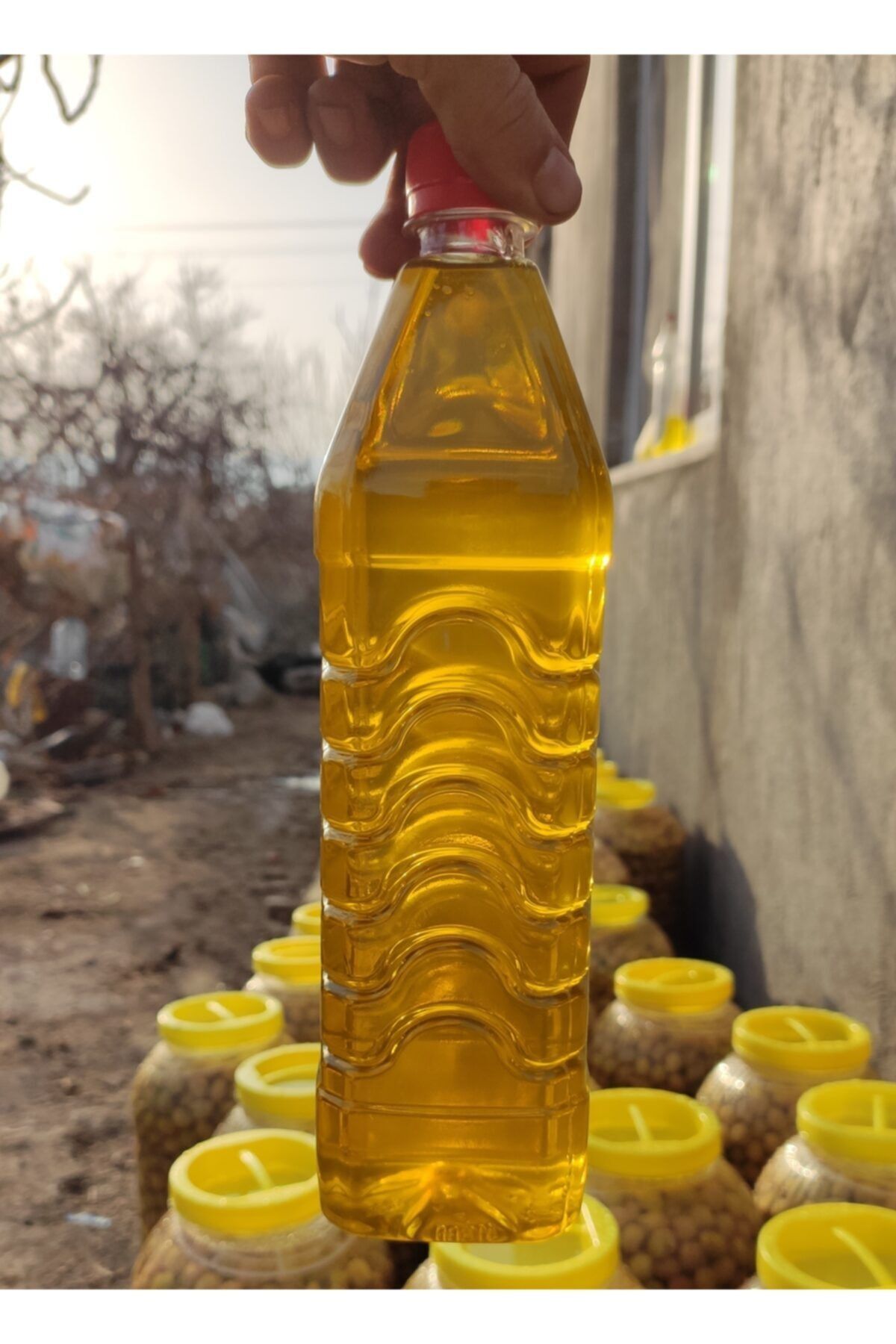 1 Lt Erken Hasat Soğuk Sıkım Zeytinyağı