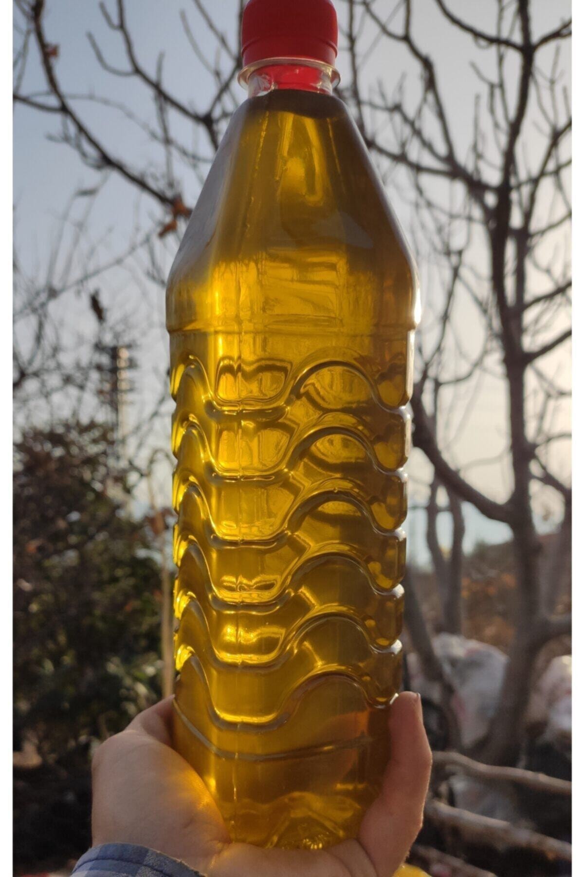 12 Adet 1 Lt Erken Hasat Soğuk Sıkım Zeytinyağı